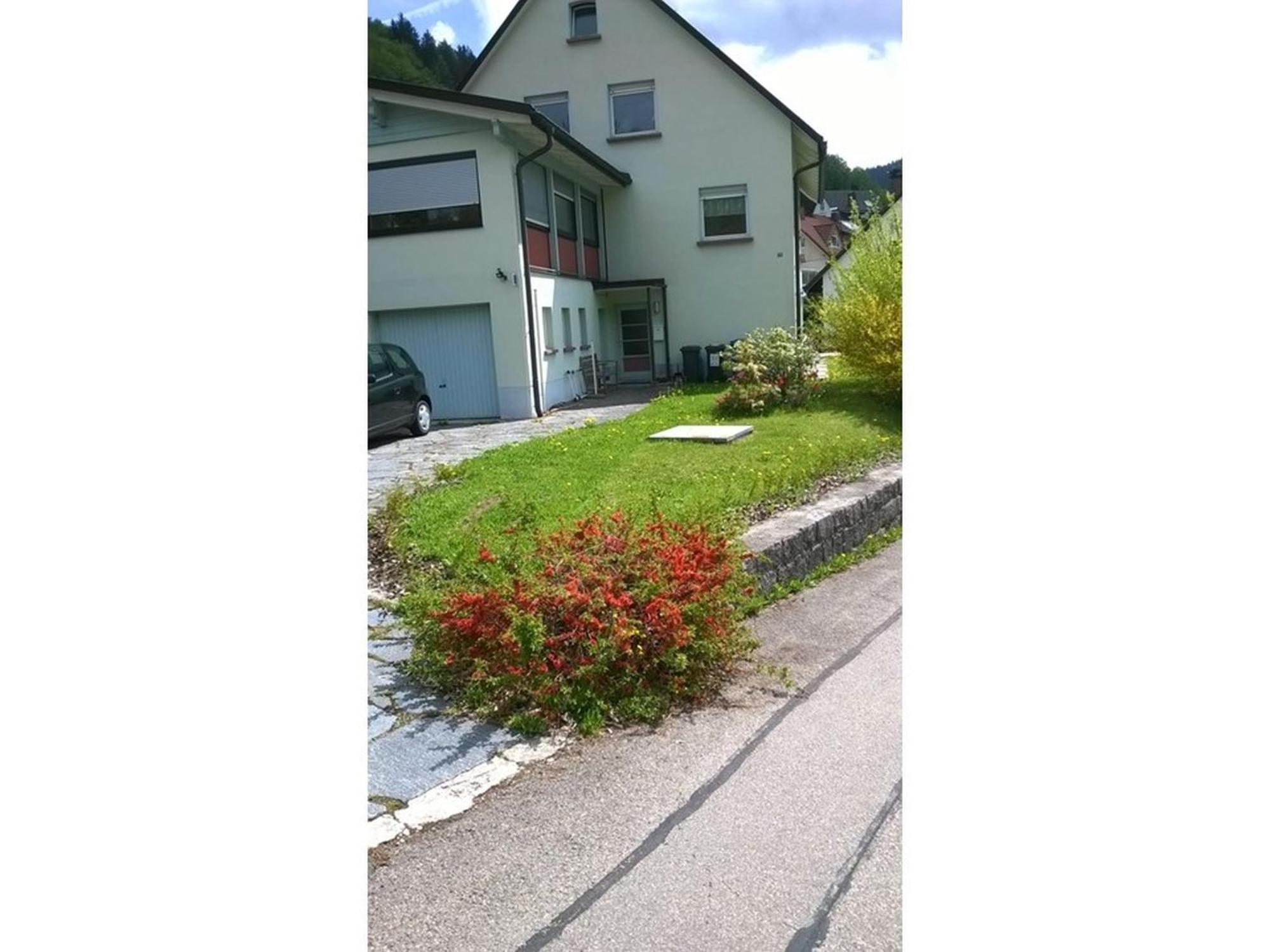 Haus Marion Lejlighed Todtnau Eksteriør billede