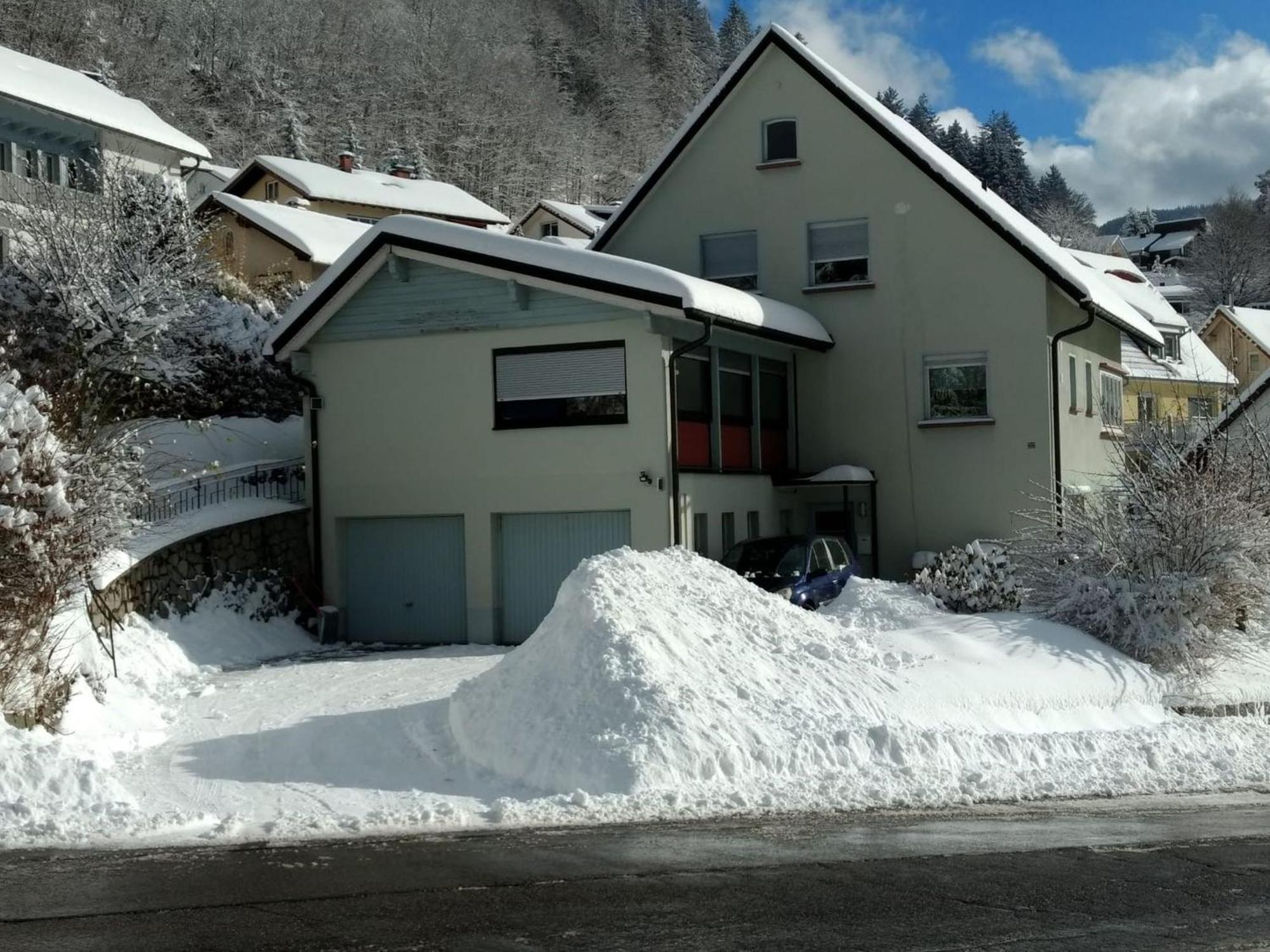 Haus Marion Lejlighed Todtnau Eksteriør billede